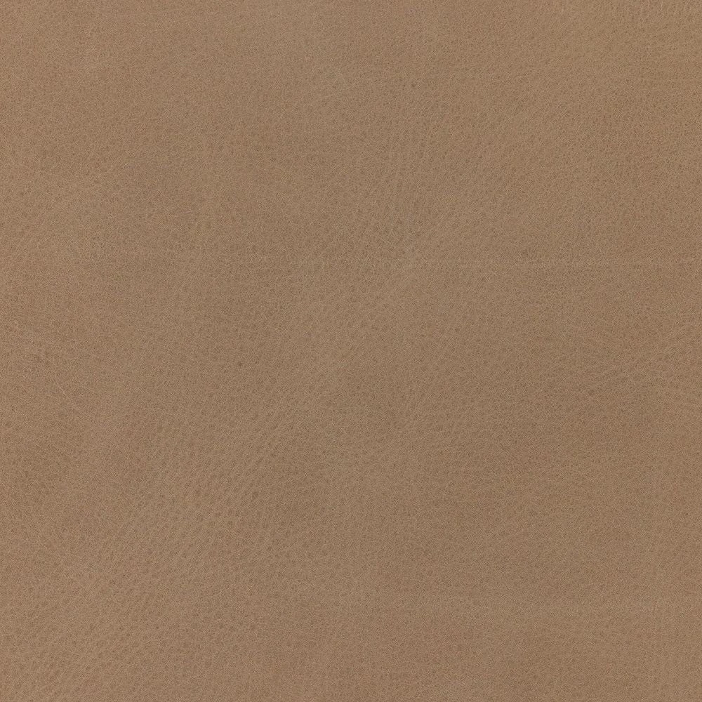 Faith Dining Chair - Palermo Nude 11 Faith Dining Chair - Palermo Nude - Image 11