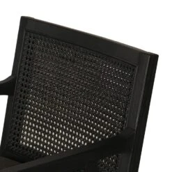 Thayer Cane Bar + Counter Stool - Bar Stool - Brushed Ebony - Sonoma Black 18 Thayer Cane Bar + Counter Stool - Bar Stool - Brushed Ebony - Sonoma Black -France and So Furniture 109035 019 DET 3