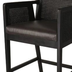 Thayer Cane Bar + Counter Stool - Bar Stool - Brushed Ebony - Sonoma Black 19 Thayer Cane Bar + Counter Stool - Bar Stool - Brushed Ebony - Sonoma Black -France and So Furniture 109035 019 DET 4