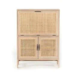 Spencer Bar Cabinet - Natural Mango