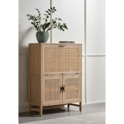 Spencer Bar Cabinet - Natural Mango -France and So Furniture 109084 002 VIG 2