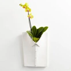 Chemise Wall Decor -France and So Furniture 11015 7 lg