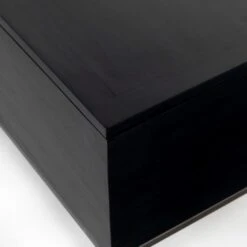 Troy Trunk - Toffee Leather -France and So Furniture 224491 002 DET 3