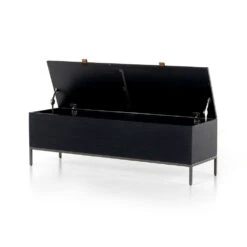 Troy Trunk - Toffee Leather -France and So Furniture 224491 002 OPN 1