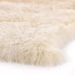 Sylas Ombre Throw - Beige Ombre -France and So Furniture 231321 002 DET 1 d42dbb8c 5ca6 44e1 9039 158066fae135