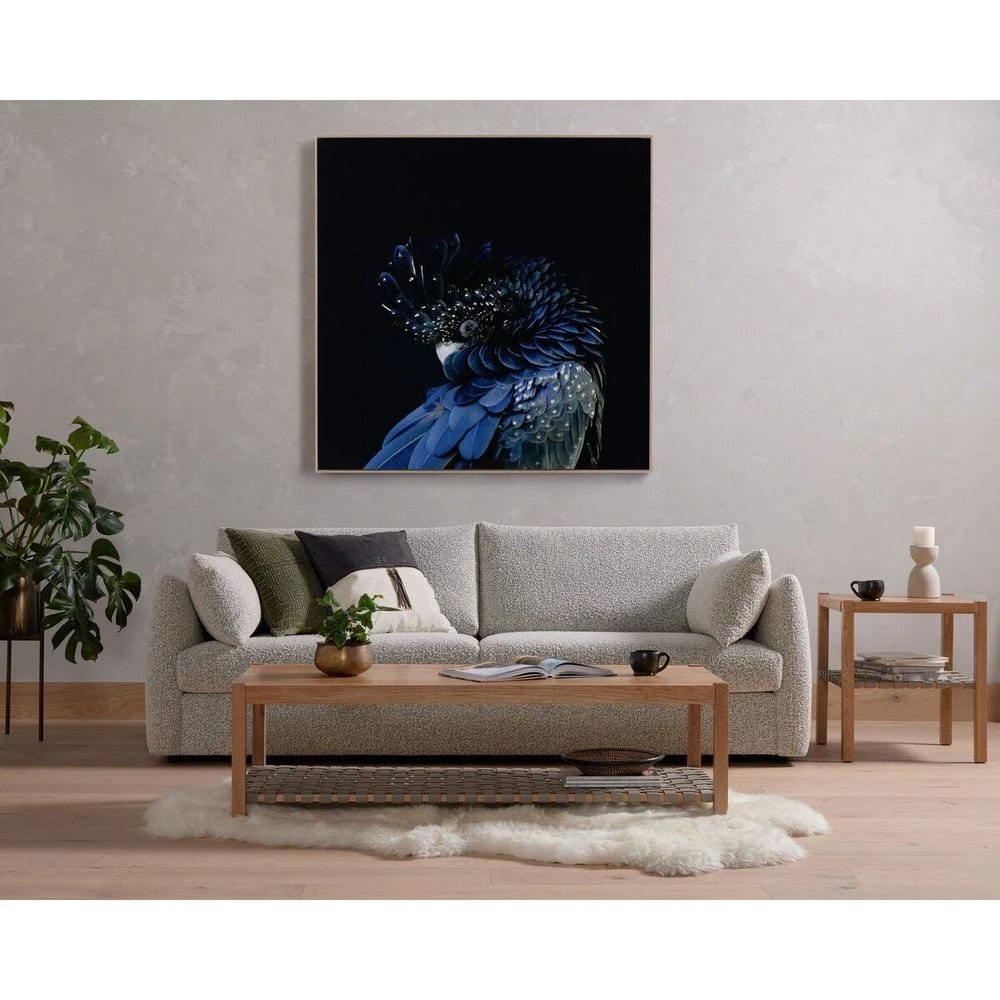 Red-Tailed Black Cockatoo By Getty Images 4 Red-Tailed Black Cockatoo By Getty Images - Image 4