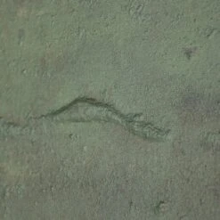 Carrying The Olive Branch No.2 By Tyler Guinn - 90"X54.5" - Framed Canvas -France and So Furniture 242865 001 DET 3