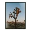 Camp Sunrise/Joshua Tree By Wesley And Emma Teague - 40"X60" - Black Maple - Framed Metal