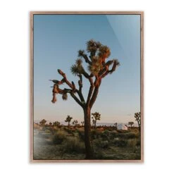 Camp Sunrise/Joshua Tree By Wesley And Emma Teague - 40"X60" - Rustic Walnut - Framed Metal