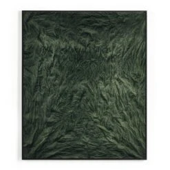 River Of Grass By Molly Franken