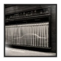 Cecconis By Guy Sargent - 48"X48" - Black Maple - Framed Metal