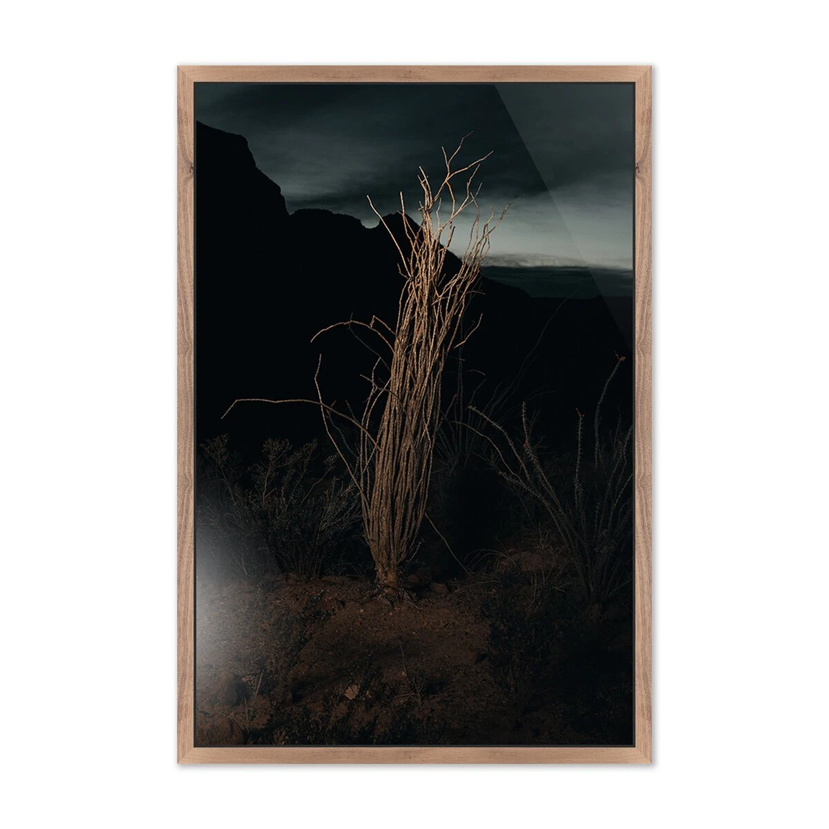 Ocotillo Ii By Mandy Steinback - 40.25"X60" - Rustic Walnut - Framed Metal 1 Ocotillo Ii By Mandy Steinback - 40.25"X60" - Rustic Walnut - Framed Metal
