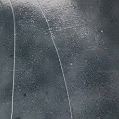 Teagan Bar Cart - Forged Gunmetal -France and So Furniture 248922 001 DET 2 52d7a2a4 b515 427b afba ee9b0eff291a