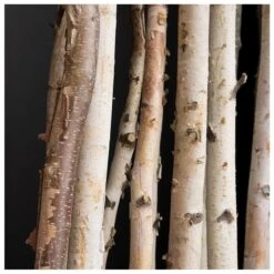 Birch Poles With Pivot Wall Play In Urbano Retangle Planter - LG -France and So Furniture 4276 6 alt1 2 800x775 d9bcd68b c698 4537 b49f 54a878950012