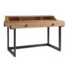 Kendelston Writing Desk - Newcastle