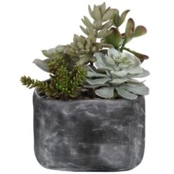 Alverio Desert Garden Succulents -France and So Furniture 60173 2 dedce1f4 3a4c 4951 bab1 e09505be530d