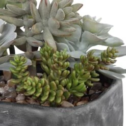 Alverio Desert Garden Succulents -France and So Furniture 60173 5