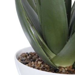 Evarado Aloe Planter -France and So Furniture 60177 3