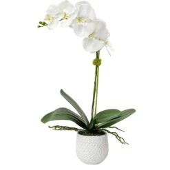 Cami Orchid 9 Cami Orchid -France and So Furniture 60178 2