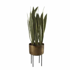 Fasita Brass Planter 2 Cartons