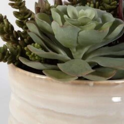 Mesa Succulent Accent -France and So Furniture 60209 5