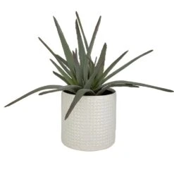 Taos Aloe Centerpiece -France and So Furniture 60210 3