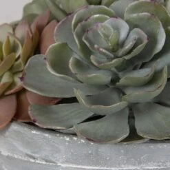 Peoria Succulent Accent -France and So Furniture 60212 5