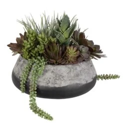 Yuma Succulent Centerpiece -France and So Furniture 60214 3