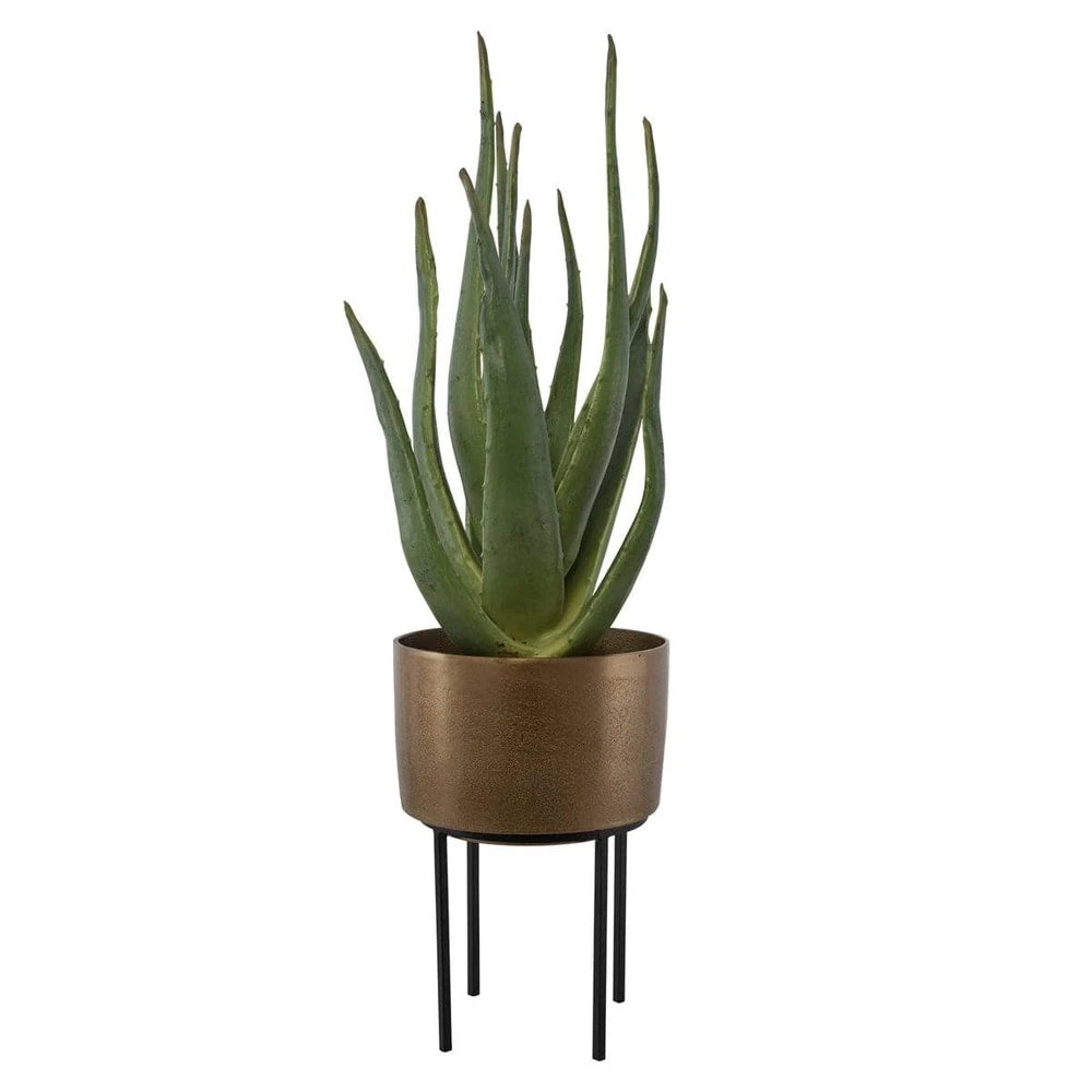 Arabia Aloe Planter 2 Arabia Aloe Planter - Image 2