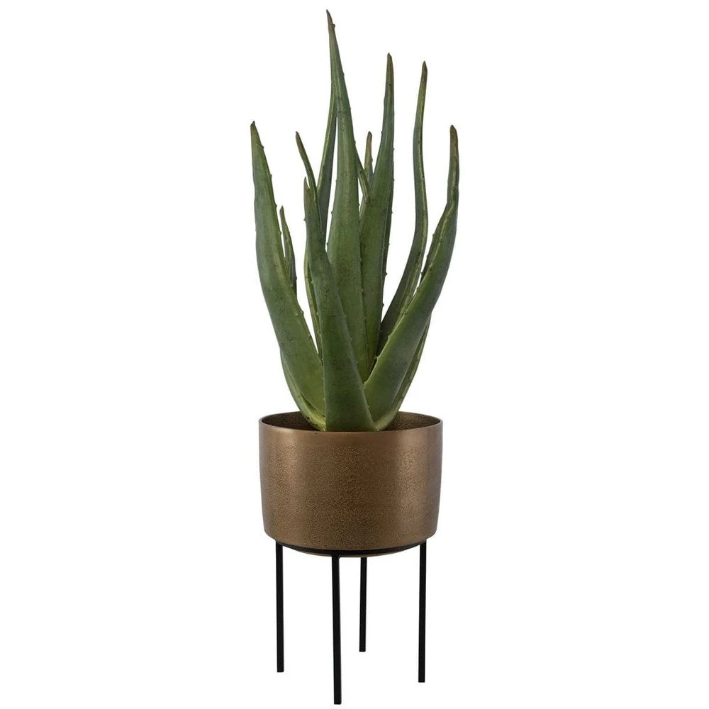 Arabia Aloe Planter 3 Arabia Aloe Planter - Image 3