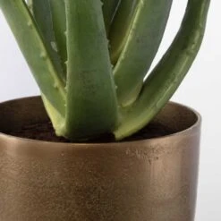 Arabia Aloe Planter 7 Arabia Aloe Planter -France and So Furniture 60217 4