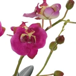 Glory Fuchsia Orchid -France and So Furniture 60220 5