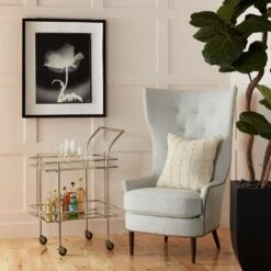 Rectangular Bar Cart W/Mirror-Nickel -France and So Furniture 61600