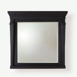 Josephine Mirror-Blackened Oak