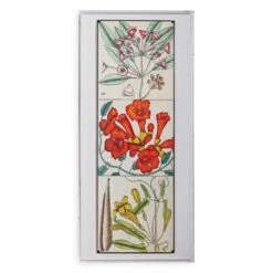 Catesby Botanical Artwork -France and So Furniture ACJS 312 177b