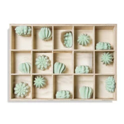 Shadow Box W/Cactus Wall Play - 10"