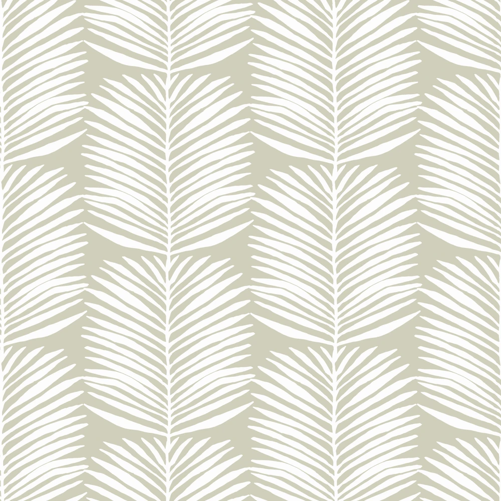 Betty Palms Wallpaper 8 Betty Palms Wallpaper - Image 8