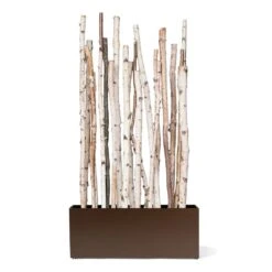 Birch Poles In Custom Rectangle Planter