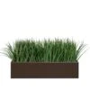 Liriope Planter For Base Of Movable Partition Wall