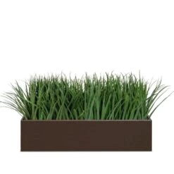 Liriope Planter For Base Of Movable Partition Wall