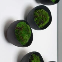 Green Wall - Set Of 10