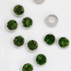 Green Wall - Set Of 10 -France and So Furniture HY1851 WH detail1 1500x1500 b7748762 59b4 433e 8611 aa099e5cdb73