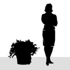 Wandering Dude & Philodendron In Pomeii Planter - LG -France and So Furniture HY2087 26 detail3 1500x1500 f8b55fb7 3370 40a5 b992 a1e643f31042