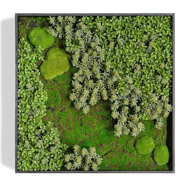 Green Wall "Essex Mix" 1 Green Wall "Essex Mix"