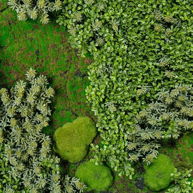 Green Wall "Essex Mix" 4 Green Wall "Essex Mix" - Image 4