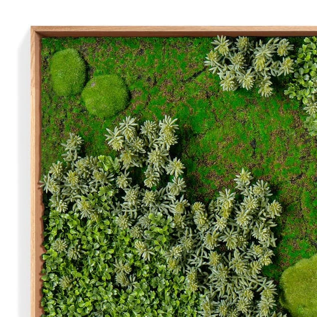 Green Wall "Essex Mix" 6 Green Wall "Essex Mix" - Image 6