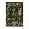 Green Wall, Pixelated Succulent - 15 Compartments