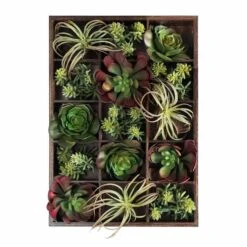 Green Wall, Pixelated Succulent - 15 Compartments