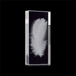 Crystal-Encased Feather