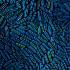 Tony Fey's Cerulean Swells -France and So Furniture JRO 3301 11 39e3db3d 108c 4006 a702 2e49889fb8dc